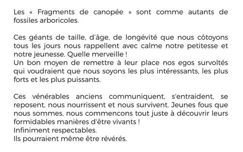 dépliant-collectionfragmentcanopée
